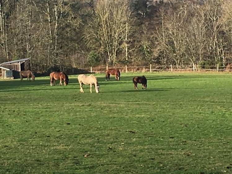 DAAA4E2B-1759-4F40-9A79-FD49BF7E8CD3