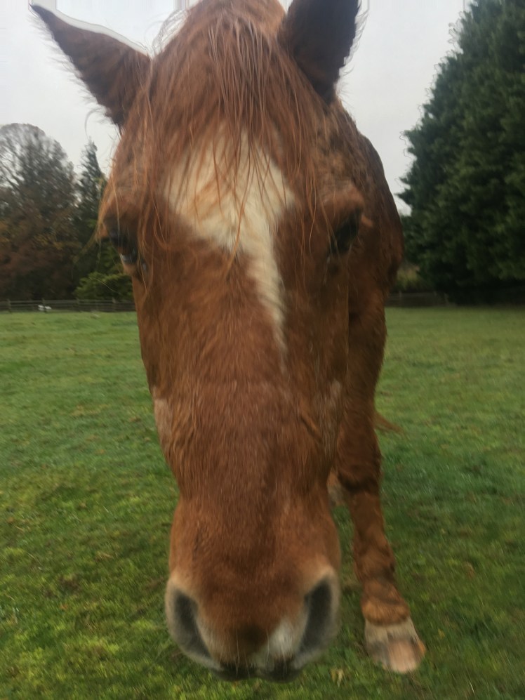 CBE1F8AD-A078-41C7-AB6F-16FE37A23447