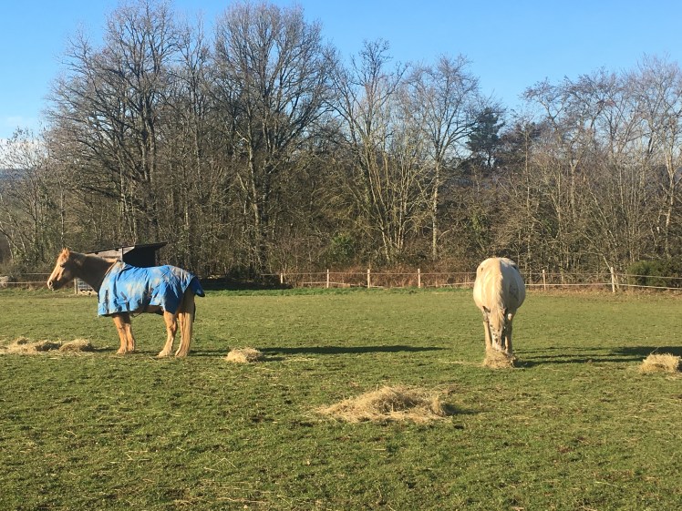 3f60c971-d953-4dc6-9e0c-0c5d05fe5a91