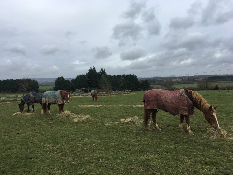 9c5f1be0-4877-4dc1-99c4-b864c2707db2