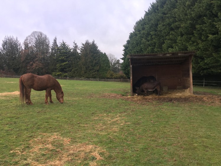 c67992d0-f33f-44d5-b7f0-b805ff8e7221