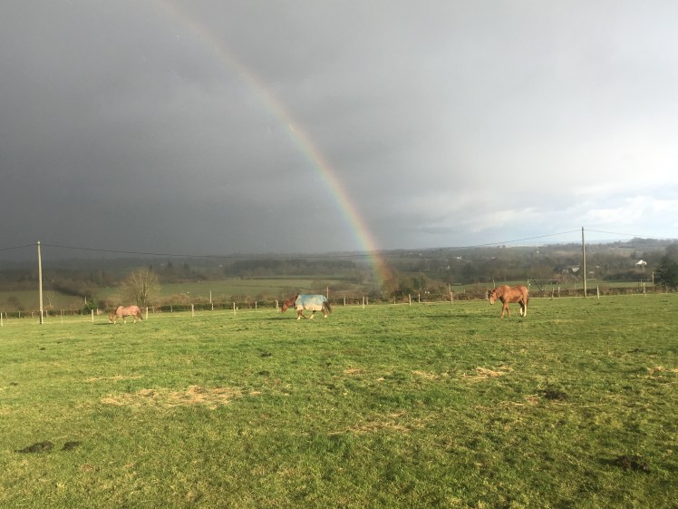 d0c1d630-c324-4cf9-8604-f0f9481ee519