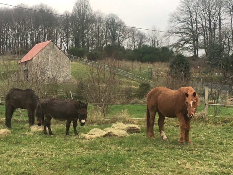 dfda7396-3181-4fc6-a540-bb042e53579d