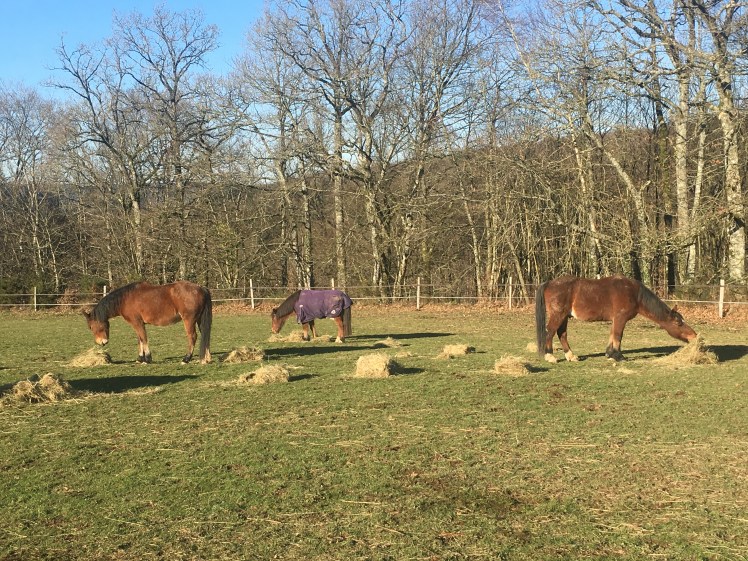 e89a4c80-758c-4de6-9724-eb4051b0553a