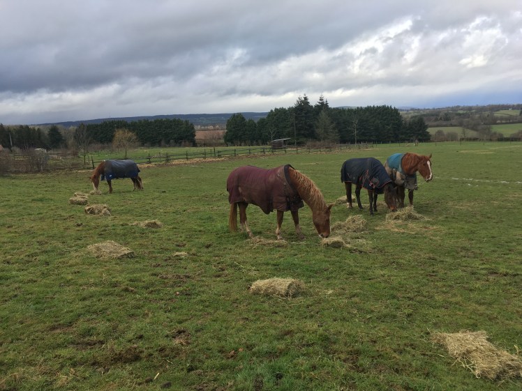 5ACCFA4E-D588-4414-B1EC-A10A682F29F8