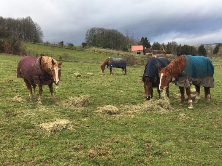 5AE0F303-C338-4883-9903-E257592789D5