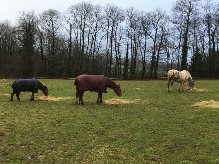 BB8725B9-CC43-4983-BD95-E6F40A5B6E2D