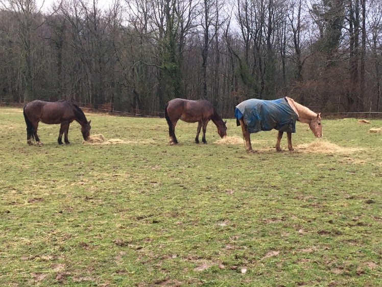 D6DC3A67-8B46-4764-997C-4CFD82BDB5A3