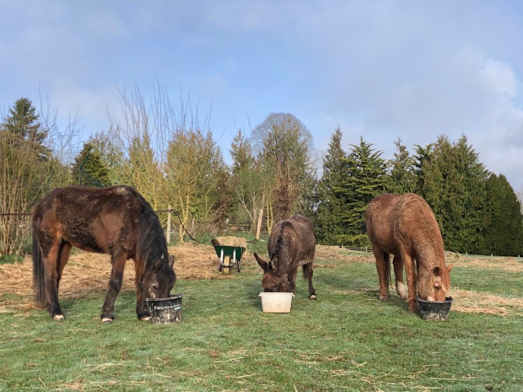 7ED0E35C-6C48-485A-B9EC-1D7C1D421BD6