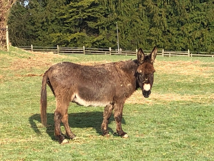 FD6717F3-43B1-419C-9B69-00022A299A2D