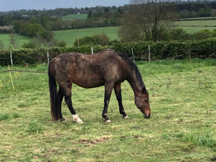 0EC1501D-6B76-4297-A16E-C3B59F7EDF17