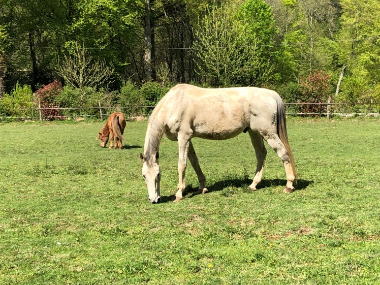 0F098900-9DDA-4A40-A86C-1E62BC922479