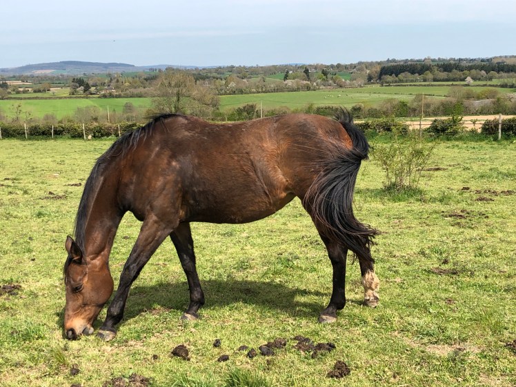 15DE38BA-FFFE-4D7A-AE1C-BE6BAA39193B