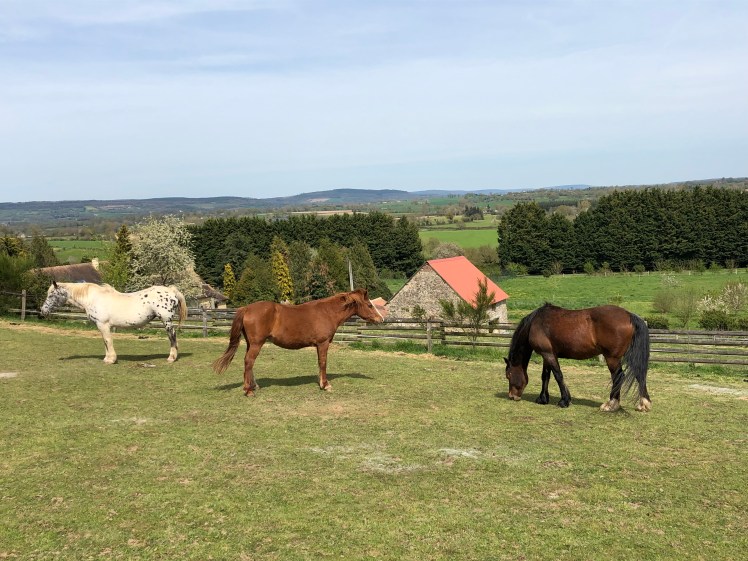 3AA3D76A-EA76-4A2A-A543-874DA1946E80