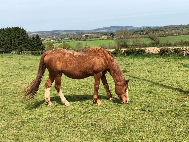 3B25DFCC-4061-4AE7-9E11-1BAE1115C9C5