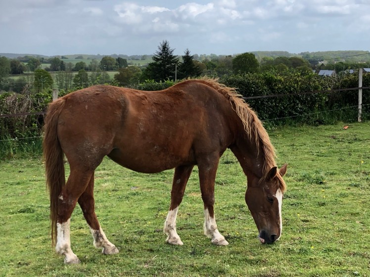 3BAA3F5A-F06B-434A-BD8C-AF0D8CBACFE7