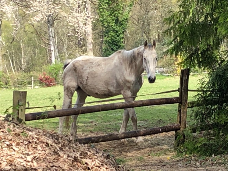 430108FE-034F-4192-B25B-D49A4D0949F0