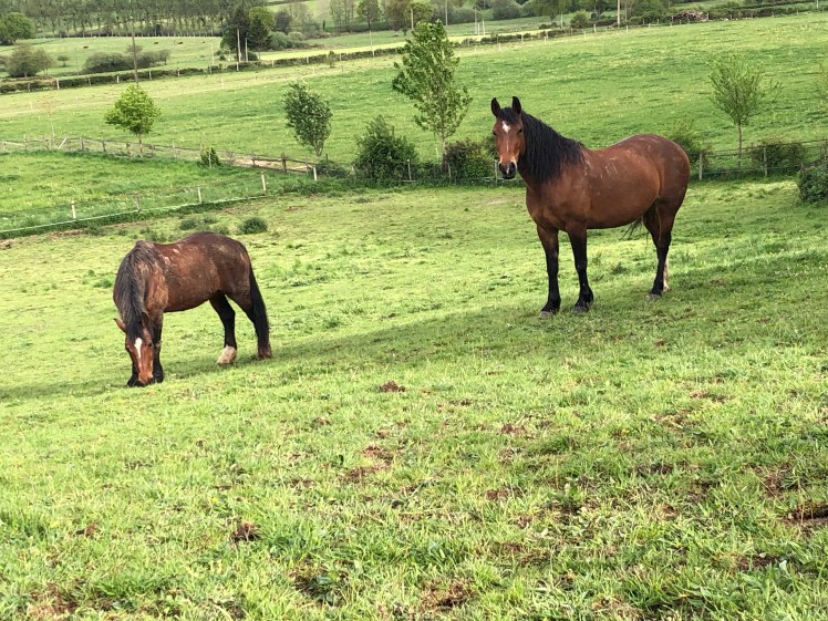 507471D3-A4F6-4907-A70F-D83358C654D5