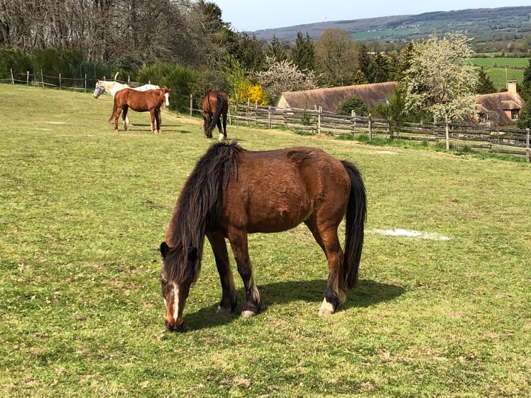 5AF27818-A66B-4218-A75A-494BBE8F4F7F