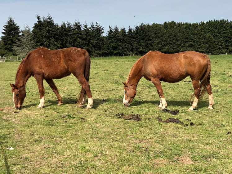 749CB432-FB67-448C-8A40-D413C0BD16C2