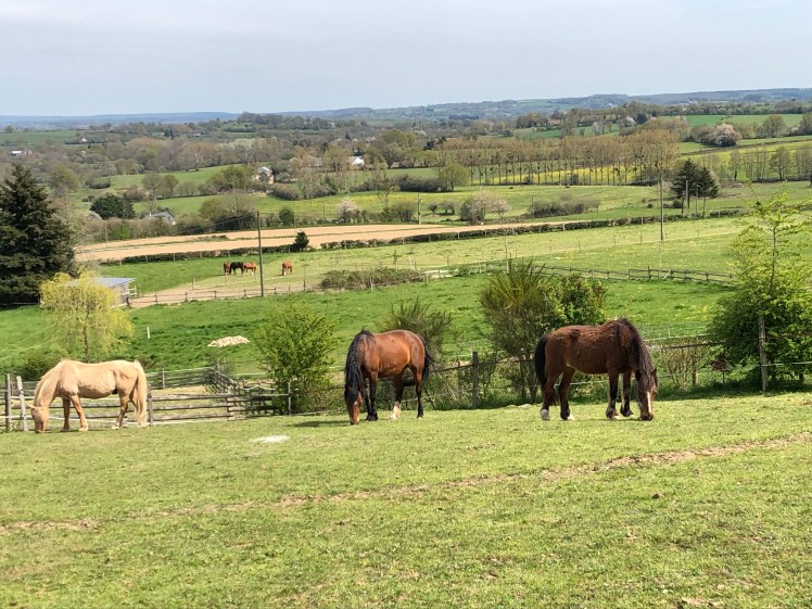 7ACC1C22-3376-4195-9F8D-65A5D8766BD3