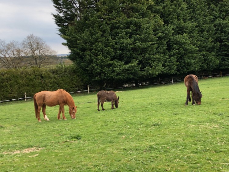 87871250-B693-4BFB-A7DA-CC3E36970E1C