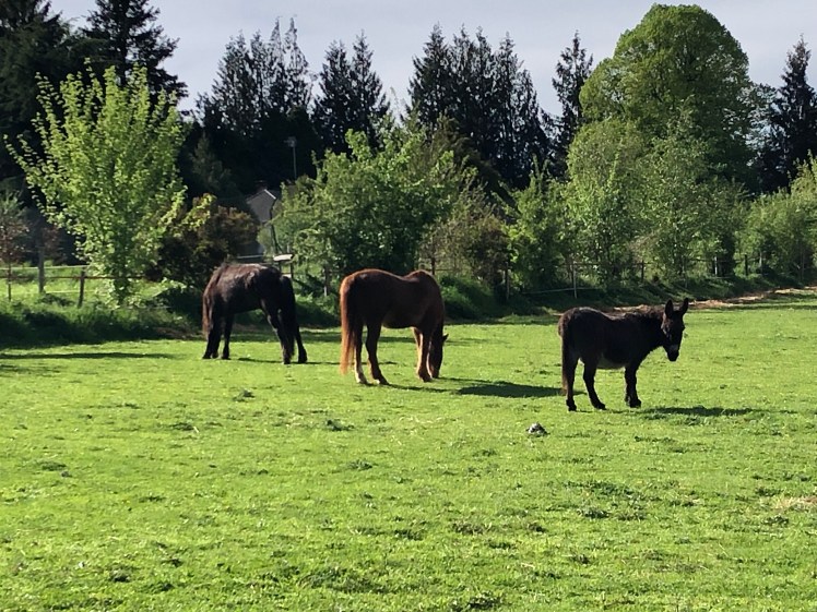 8FD5A126-56BD-46E4-BE59-A5A7BF046908