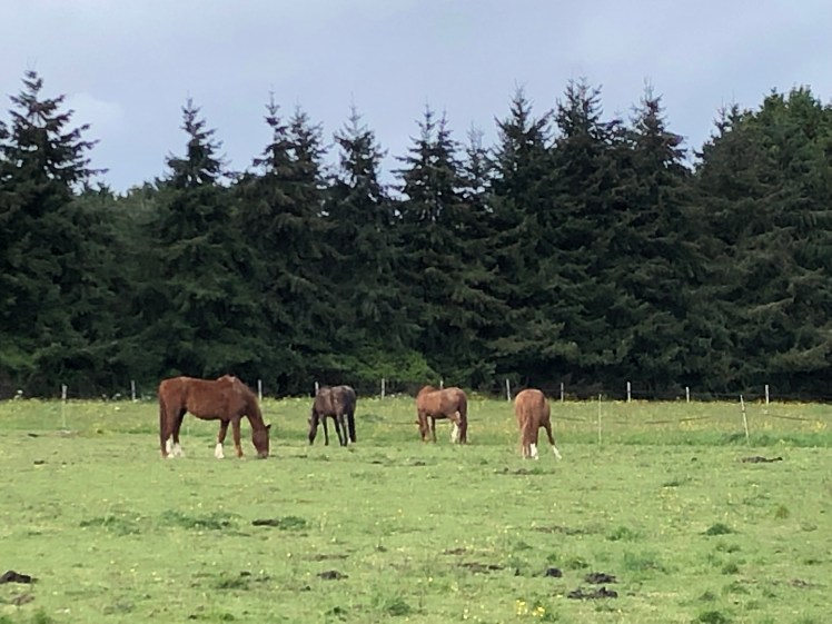 8FFF4786-2BD8-43B2-90D9-4A4CF5FD397B