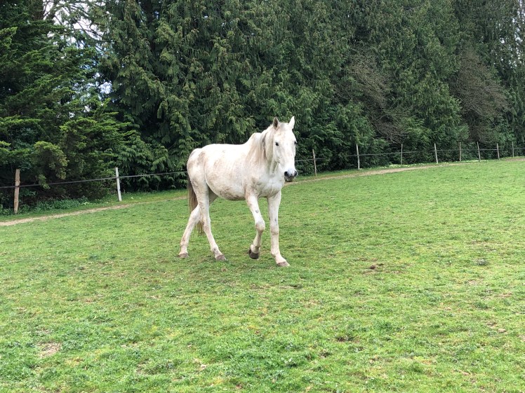 923E3558-07CB-43F0-88CC-31C0A27721BA