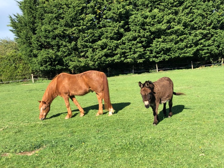 9361C335-A809-4961-AC90-551F791F3BD5