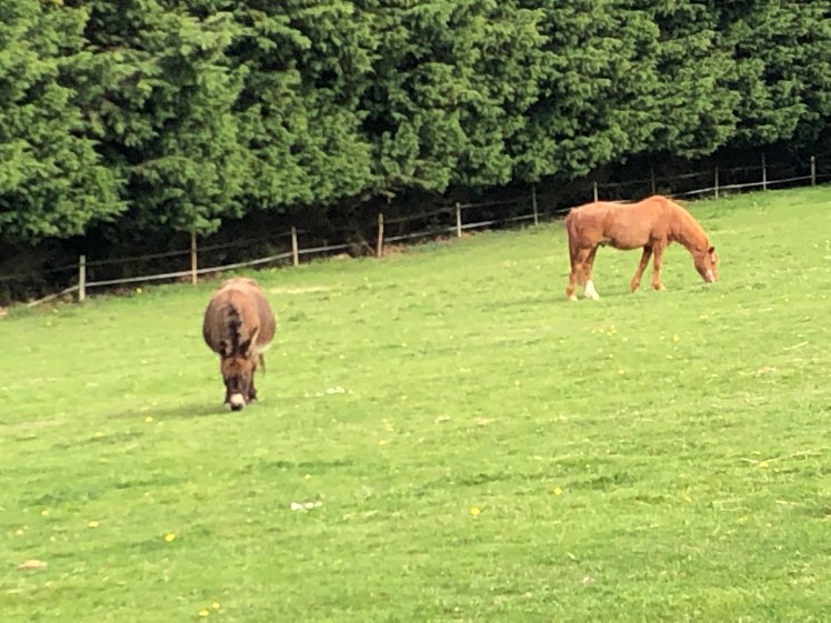 A454EA1A-AA23-4EB4-B714-C45B54F9C00B