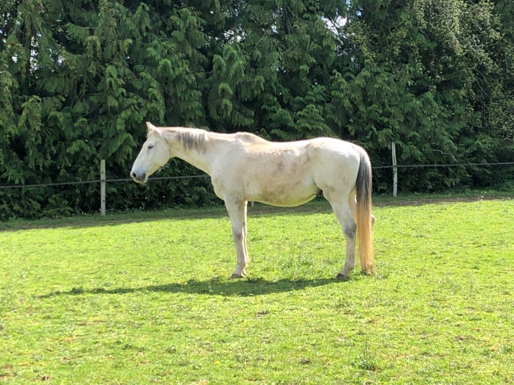 C1BB962F-C598-4C45-97AC-60ED92DAE6CE