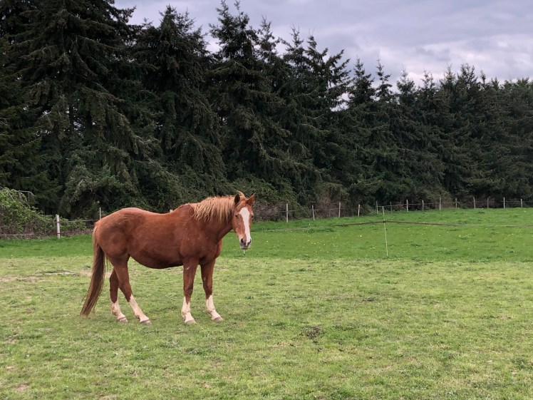 C34DBFFF-D66F-47F9-A858-4708366153C2