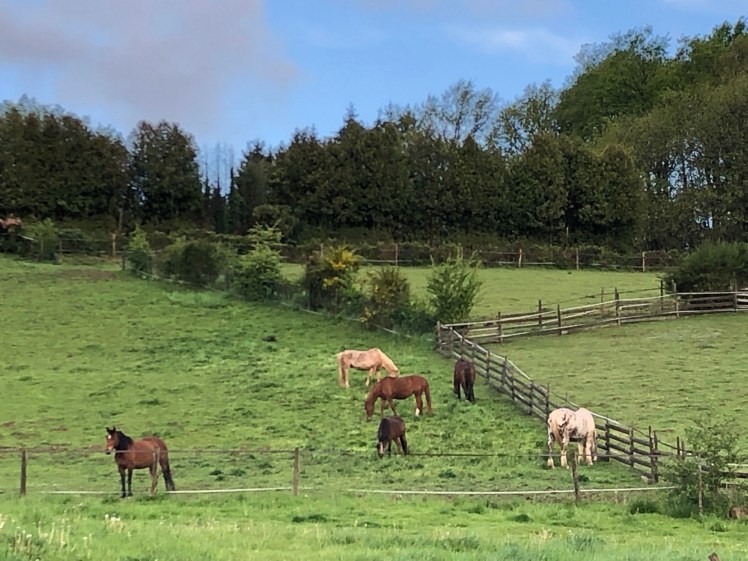 D85D7C8E-A9BA-4CCC-9719-B7E5E8B22A0E