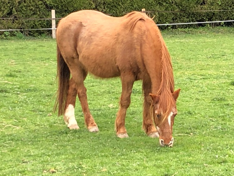 F417BD25-5469-4AC2-A024-BE3873897A13