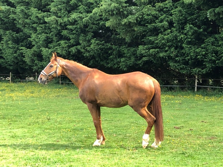 03B7F05F-5FDD-4208-B110-6B9155979BE1