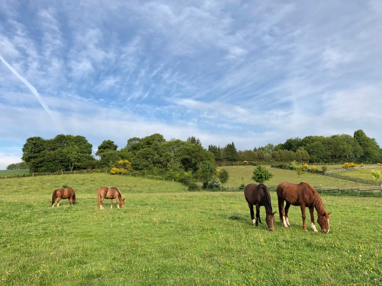 13030B34-583F-4031-8E7D-A39C3CE6FD4C