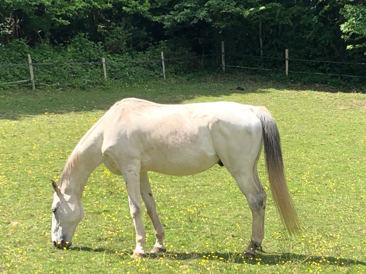 1A87FD38-D25B-40EF-8D22-152590E83C31