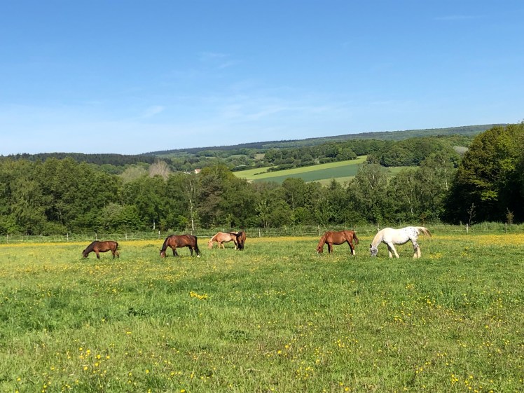 1EBA1B4C-24E4-41E9-9307-28BC57DB3341