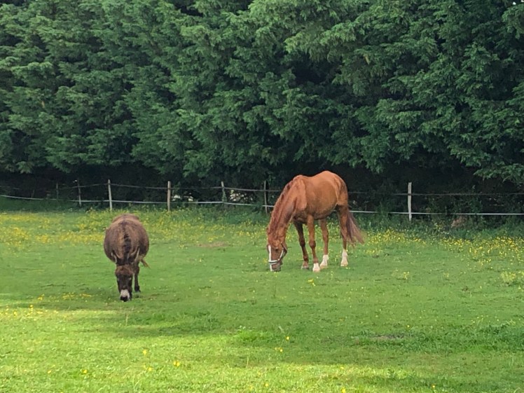 2C7F2C4E-A123-4FA9-ADC7-132337CC752C