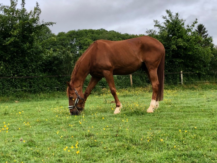 58E16355-19DA-419F-A038-4C41C4C31034