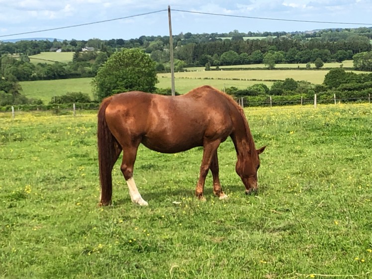 5F237127-E0DE-49E8-A177-C697C65FE72D