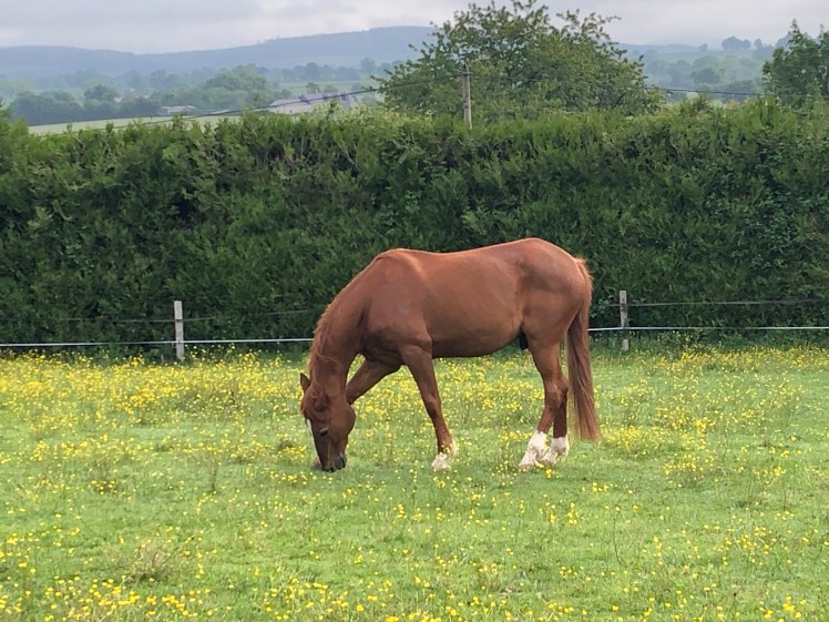 63E0F7EF-0E8F-4543-927B-A695AF122773