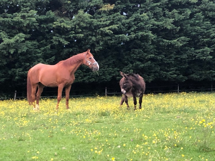 6583C652-2399-4597-8A6A-2F5E83E95064