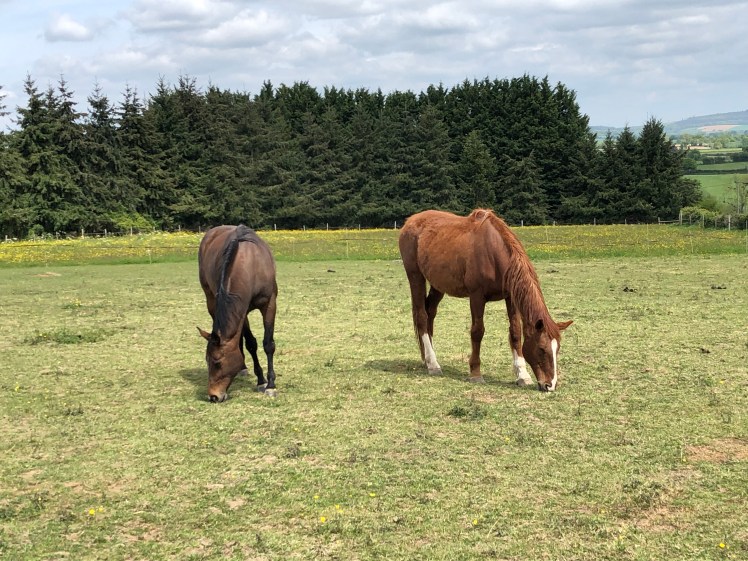 7AB9251B-194D-4272-B1FC-08EEB898C1A4