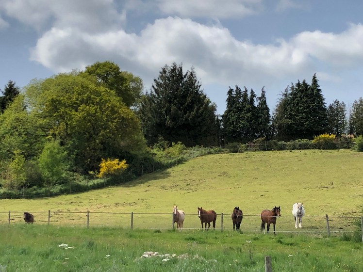 8A5EA194-4CCE-4D35-8C03-FE77DD66DFC1