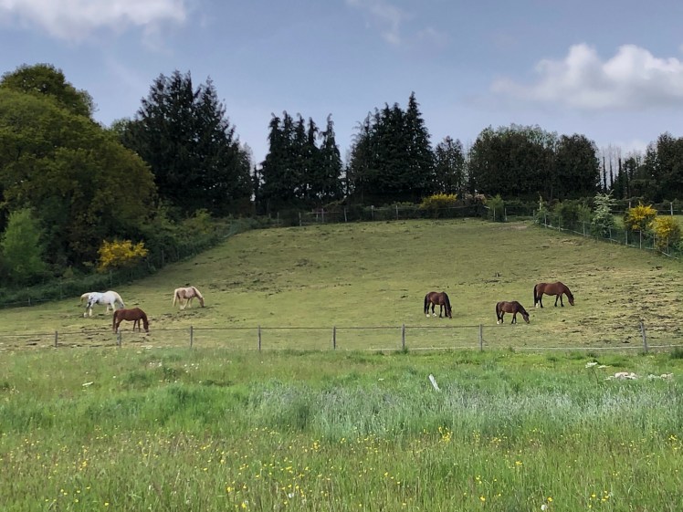 A0C4988A-029D-4AD2-A675-DAFBD23366CC