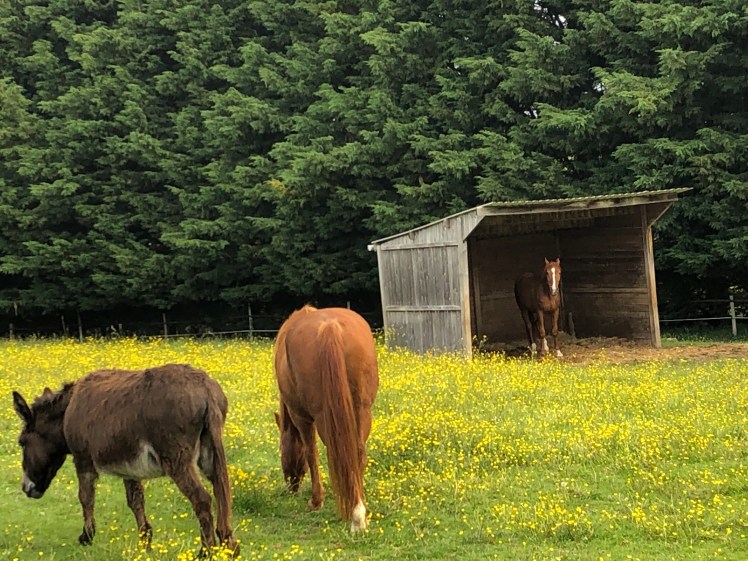 A5F1AA40-E051-4E7F-8D23-E9913742F83A