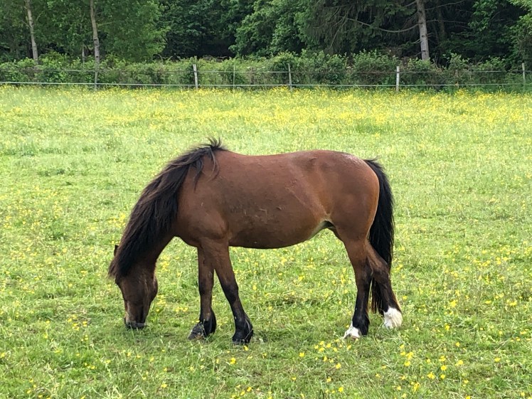 AF21EF1C-26A9-4FCF-94DC-2FCBFF37F826