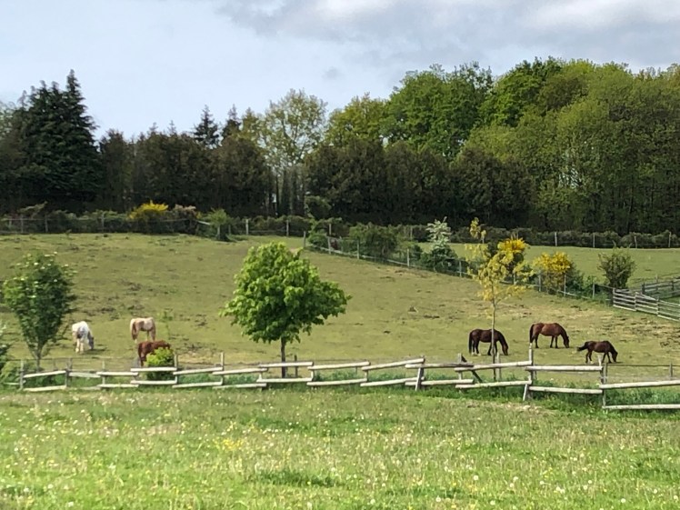 BDCCB2E5-F010-413D-83CF-37D25F4FD3AC